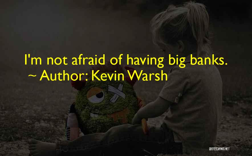 Kevin Warsh Quotes: I'm Not Afraid Of Having Big Banks.