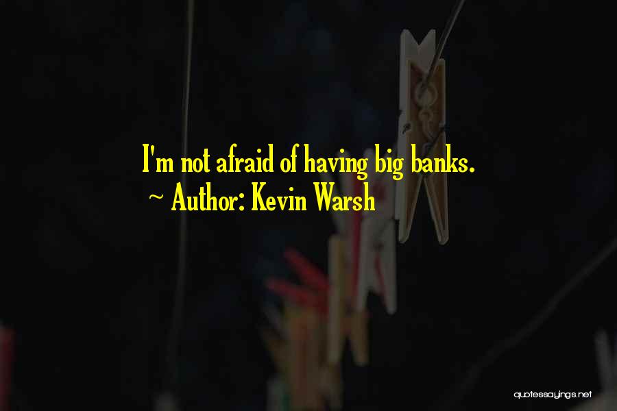 Kevin Warsh Quotes: I'm Not Afraid Of Having Big Banks.