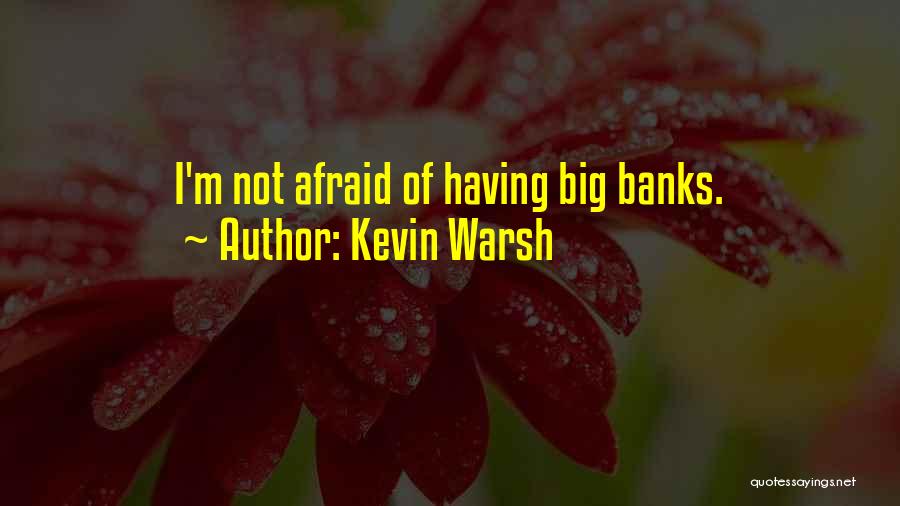 Kevin Warsh Quotes: I'm Not Afraid Of Having Big Banks.