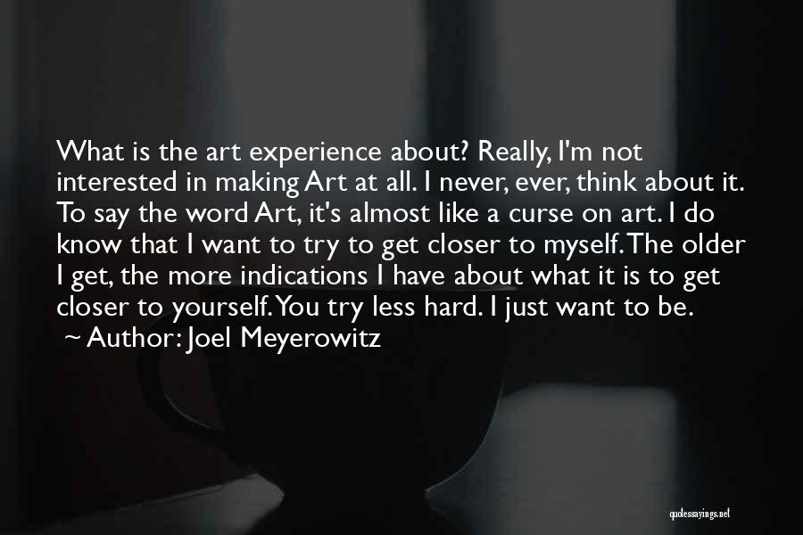 Joel Meyerowitz Quotes: What Is The Art Experience About? Really, I'm Not Interested In Making Art At All. I Never, Ever, Think About