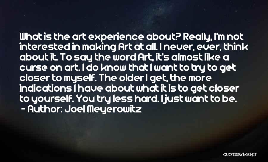 Joel Meyerowitz Quotes: What Is The Art Experience About? Really, I'm Not Interested In Making Art At All. I Never, Ever, Think About