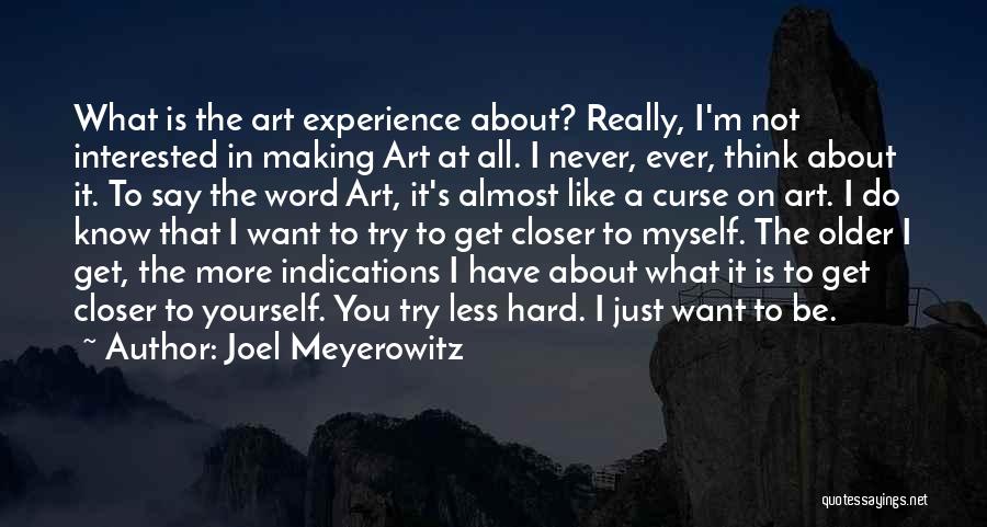 Joel Meyerowitz Quotes: What Is The Art Experience About? Really, I'm Not Interested In Making Art At All. I Never, Ever, Think About