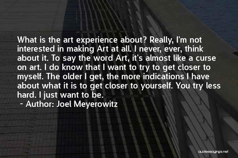 Joel Meyerowitz Quotes: What Is The Art Experience About? Really, I'm Not Interested In Making Art At All. I Never, Ever, Think About