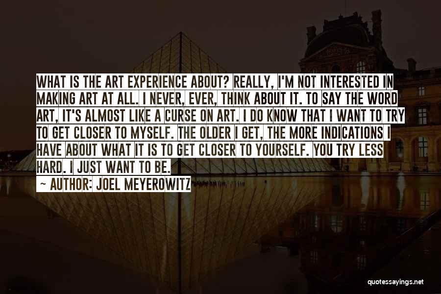 Joel Meyerowitz Quotes: What Is The Art Experience About? Really, I'm Not Interested In Making Art At All. I Never, Ever, Think About