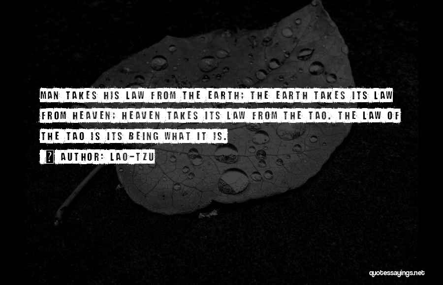 Lao-Tzu Quotes: Man Takes His Law From The Earth; The Earth Takes Its Law From Heaven; Heaven Takes Its Law From The