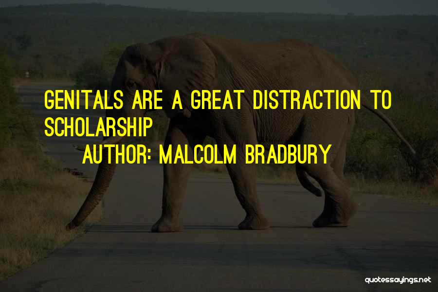 Malcolm Bradbury Quotes: Genitals Are A Great Distraction To Scholarship