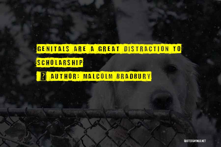 Malcolm Bradbury Quotes: Genitals Are A Great Distraction To Scholarship