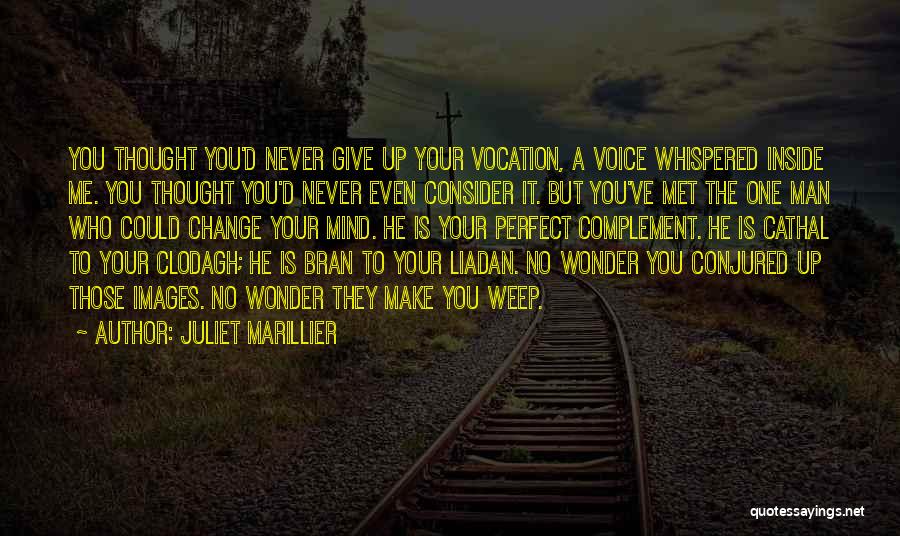 Juliet Marillier Quotes: You Thought You'd Never Give Up Your Vocation, A Voice Whispered Inside Me. You Thought You'd Never Even Consider It.