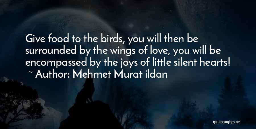 Mehmet Murat Ildan Quotes: Give Food To The Birds, You Will Then Be Surrounded By The Wings Of Love, You Will Be Encompassed By