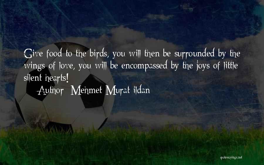 Mehmet Murat Ildan Quotes: Give Food To The Birds, You Will Then Be Surrounded By The Wings Of Love, You Will Be Encompassed By