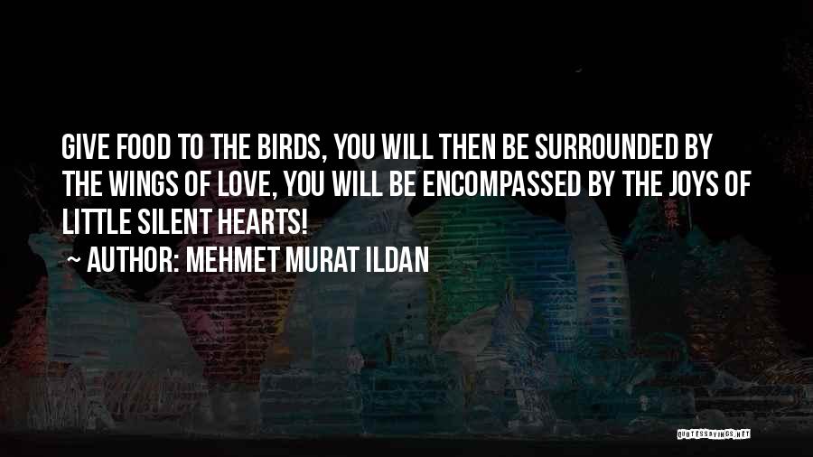 Mehmet Murat Ildan Quotes: Give Food To The Birds, You Will Then Be Surrounded By The Wings Of Love, You Will Be Encompassed By