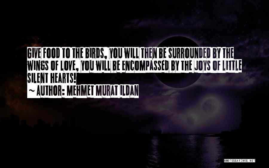 Mehmet Murat Ildan Quotes: Give Food To The Birds, You Will Then Be Surrounded By The Wings Of Love, You Will Be Encompassed By