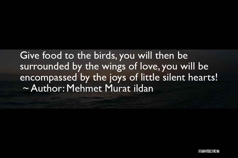 Mehmet Murat Ildan Quotes: Give Food To The Birds, You Will Then Be Surrounded By The Wings Of Love, You Will Be Encompassed By