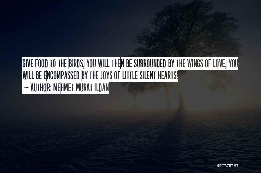 Mehmet Murat Ildan Quotes: Give Food To The Birds, You Will Then Be Surrounded By The Wings Of Love, You Will Be Encompassed By