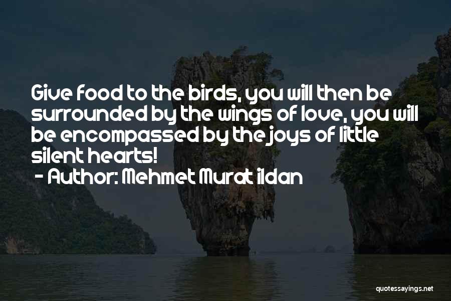Mehmet Murat Ildan Quotes: Give Food To The Birds, You Will Then Be Surrounded By The Wings Of Love, You Will Be Encompassed By