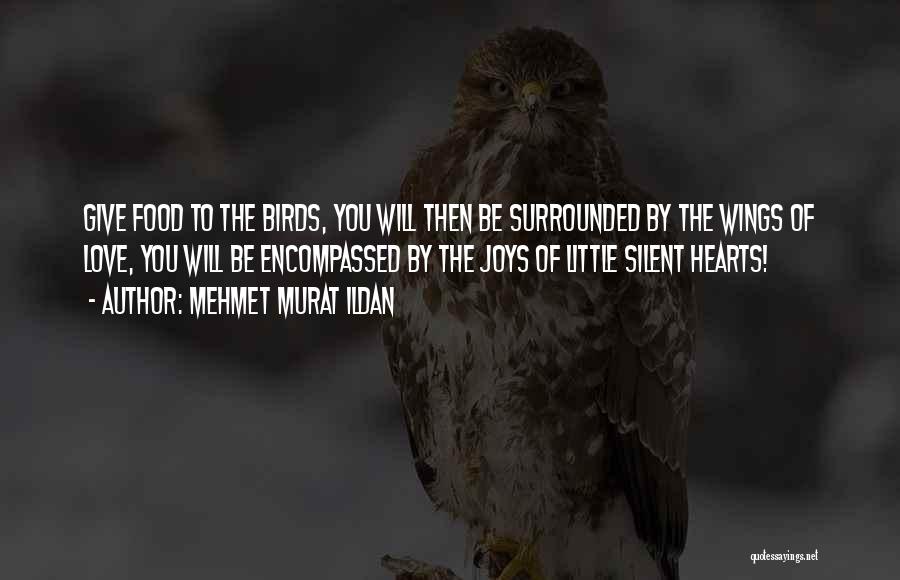 Mehmet Murat Ildan Quotes: Give Food To The Birds, You Will Then Be Surrounded By The Wings Of Love, You Will Be Encompassed By