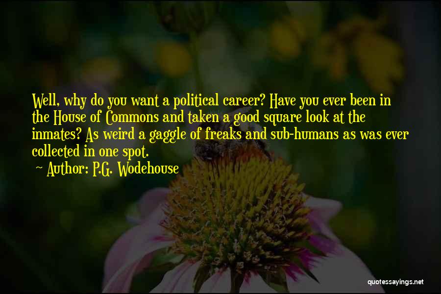 P.G. Wodehouse Quotes: Well, Why Do You Want A Political Career? Have You Ever Been In The House Of Commons And Taken A