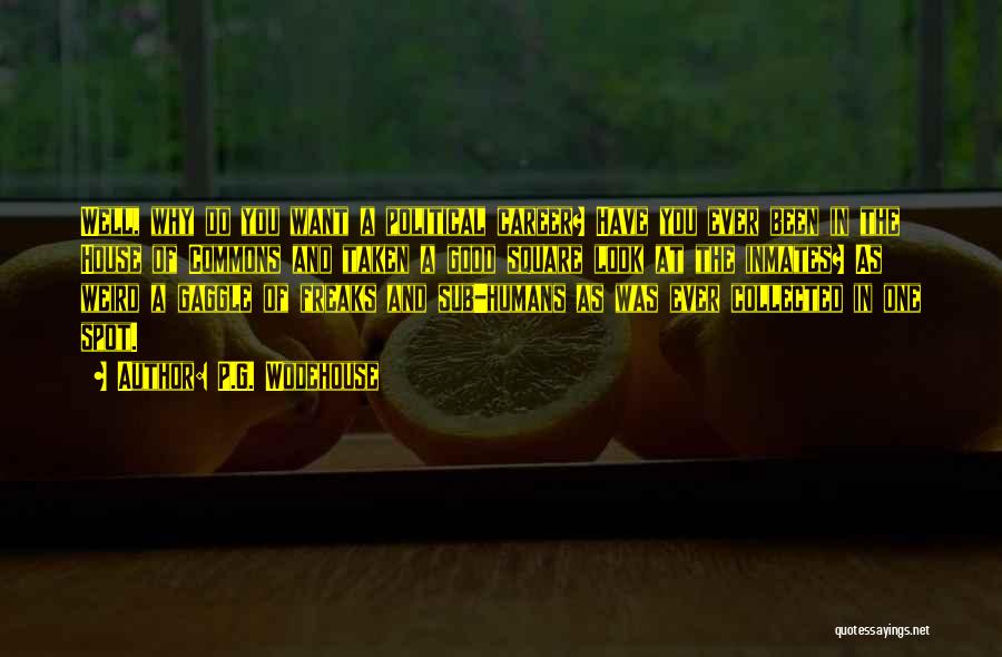 P.G. Wodehouse Quotes: Well, Why Do You Want A Political Career? Have You Ever Been In The House Of Commons And Taken A