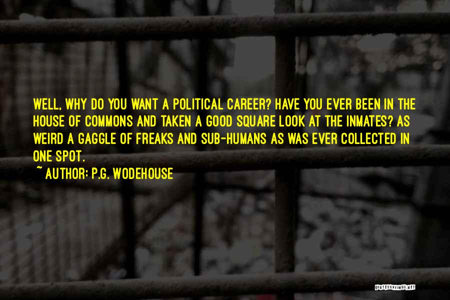 P.G. Wodehouse Quotes: Well, Why Do You Want A Political Career? Have You Ever Been In The House Of Commons And Taken A