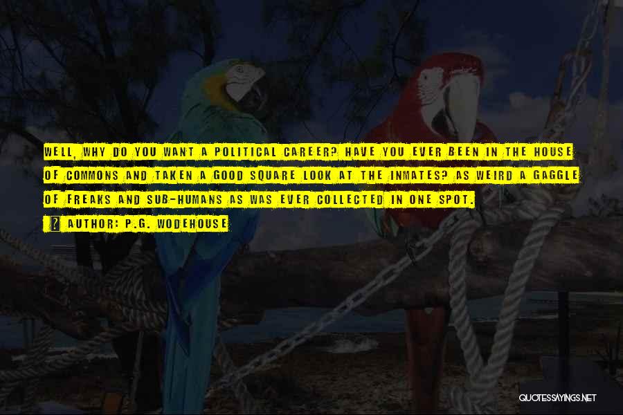 P.G. Wodehouse Quotes: Well, Why Do You Want A Political Career? Have You Ever Been In The House Of Commons And Taken A