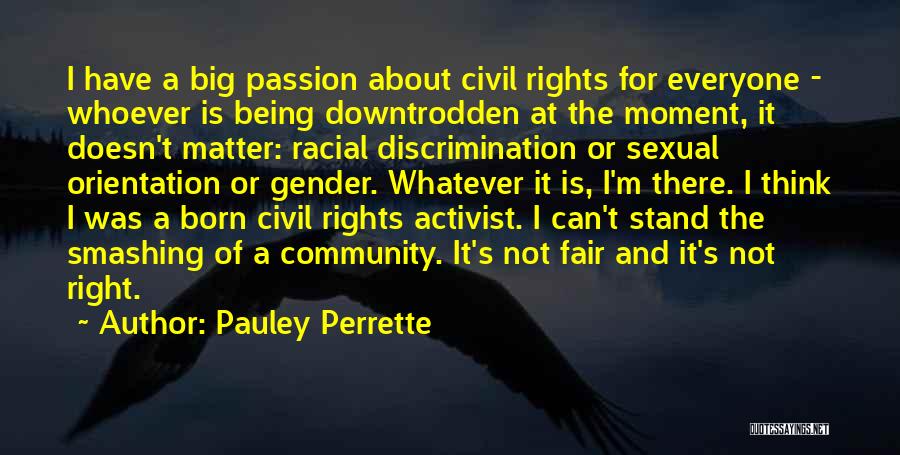 Pauley Perrette Quotes: I Have A Big Passion About Civil Rights For Everyone - Whoever Is Being Downtrodden At The Moment, It Doesn't