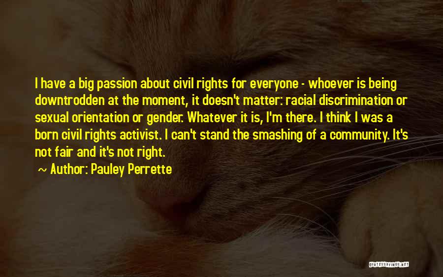 Pauley Perrette Quotes: I Have A Big Passion About Civil Rights For Everyone - Whoever Is Being Downtrodden At The Moment, It Doesn't