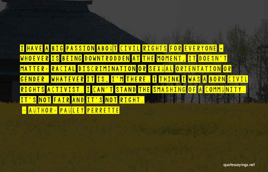 Pauley Perrette Quotes: I Have A Big Passion About Civil Rights For Everyone - Whoever Is Being Downtrodden At The Moment, It Doesn't