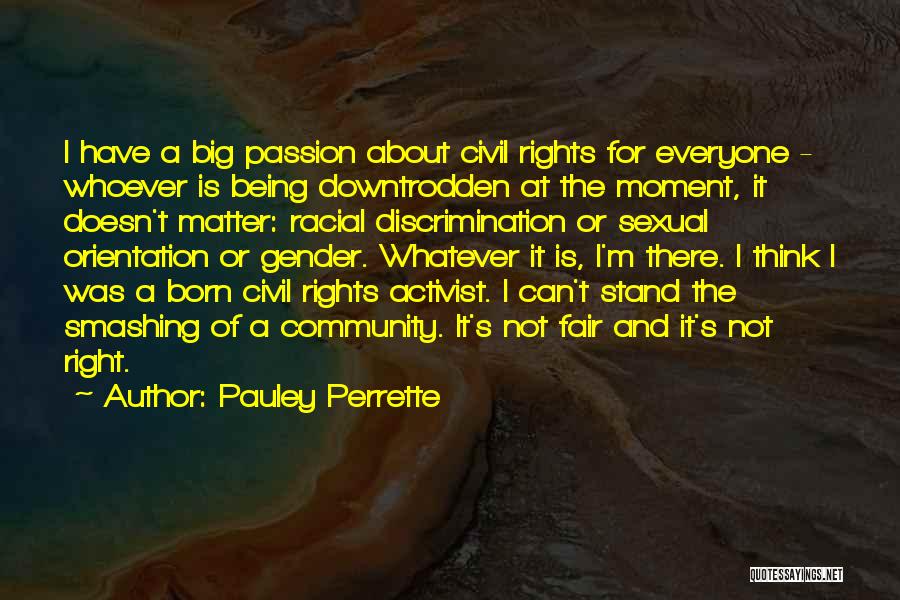 Pauley Perrette Quotes: I Have A Big Passion About Civil Rights For Everyone - Whoever Is Being Downtrodden At The Moment, It Doesn't