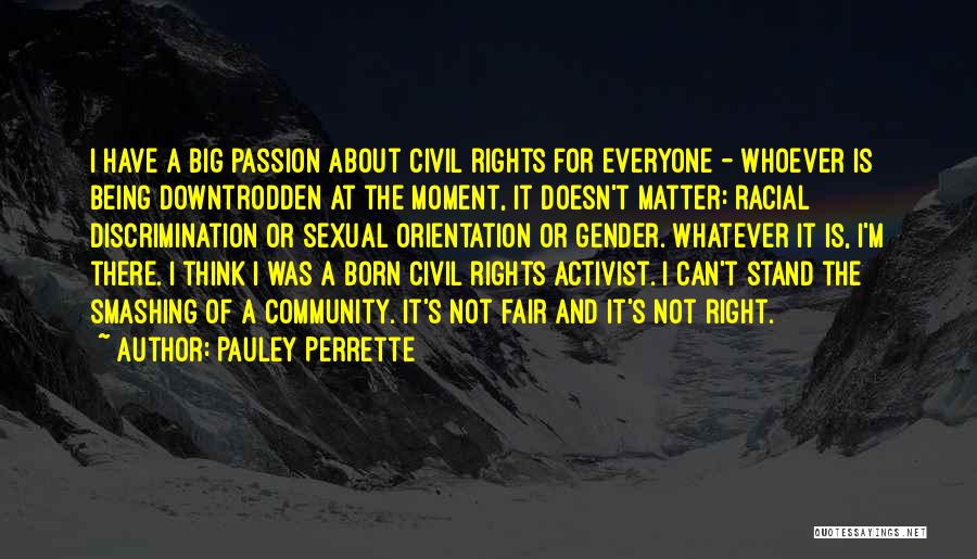 Pauley Perrette Quotes: I Have A Big Passion About Civil Rights For Everyone - Whoever Is Being Downtrodden At The Moment, It Doesn't