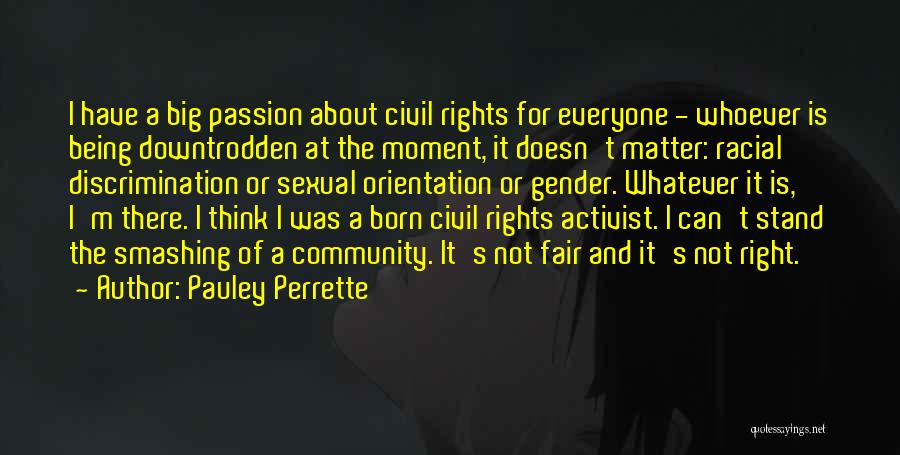 Pauley Perrette Quotes: I Have A Big Passion About Civil Rights For Everyone - Whoever Is Being Downtrodden At The Moment, It Doesn't