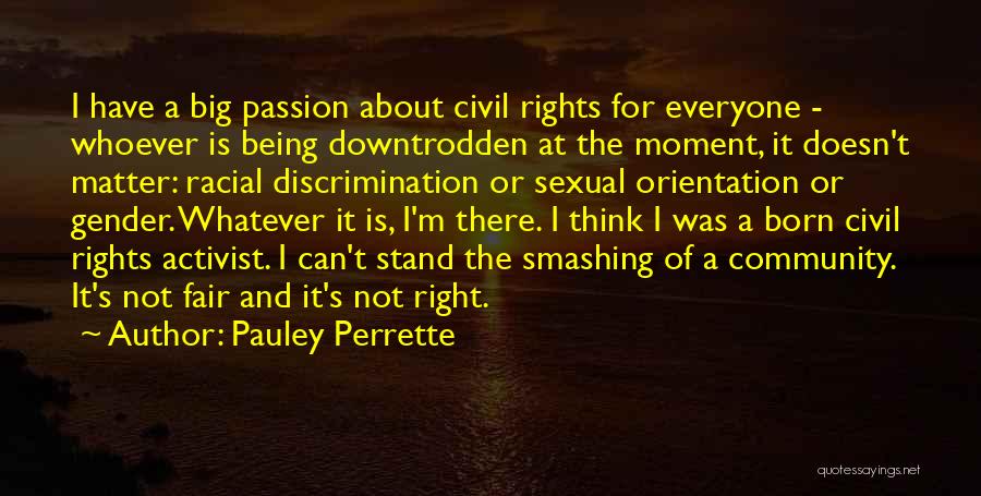 Pauley Perrette Quotes: I Have A Big Passion About Civil Rights For Everyone - Whoever Is Being Downtrodden At The Moment, It Doesn't