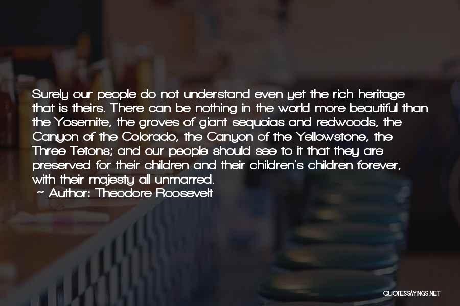 Theodore Roosevelt Quotes: Surely Our People Do Not Understand Even Yet The Rich Heritage That Is Theirs. There Can Be Nothing In The