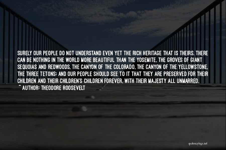 Theodore Roosevelt Quotes: Surely Our People Do Not Understand Even Yet The Rich Heritage That Is Theirs. There Can Be Nothing In The
