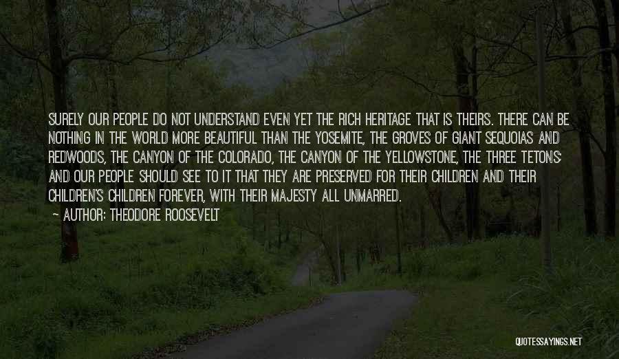 Theodore Roosevelt Quotes: Surely Our People Do Not Understand Even Yet The Rich Heritage That Is Theirs. There Can Be Nothing In The