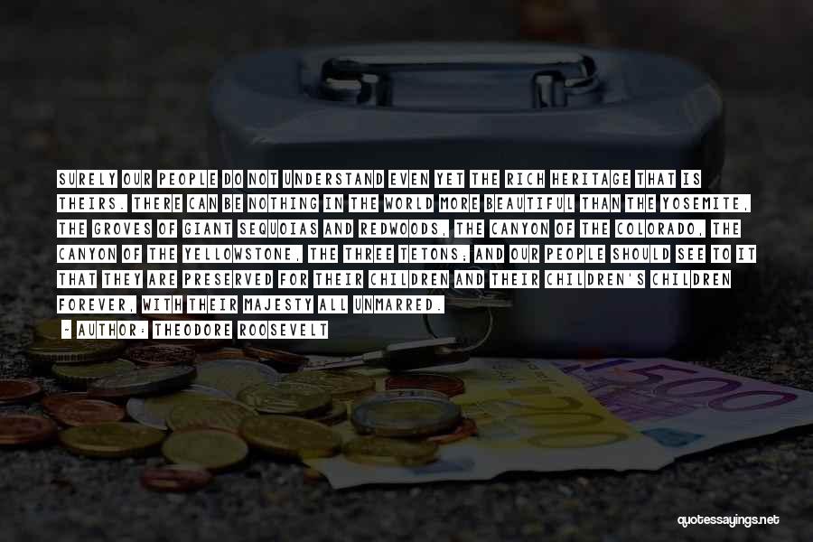 Theodore Roosevelt Quotes: Surely Our People Do Not Understand Even Yet The Rich Heritage That Is Theirs. There Can Be Nothing In The