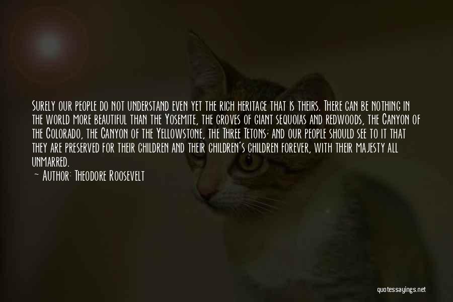 Theodore Roosevelt Quotes: Surely Our People Do Not Understand Even Yet The Rich Heritage That Is Theirs. There Can Be Nothing In The