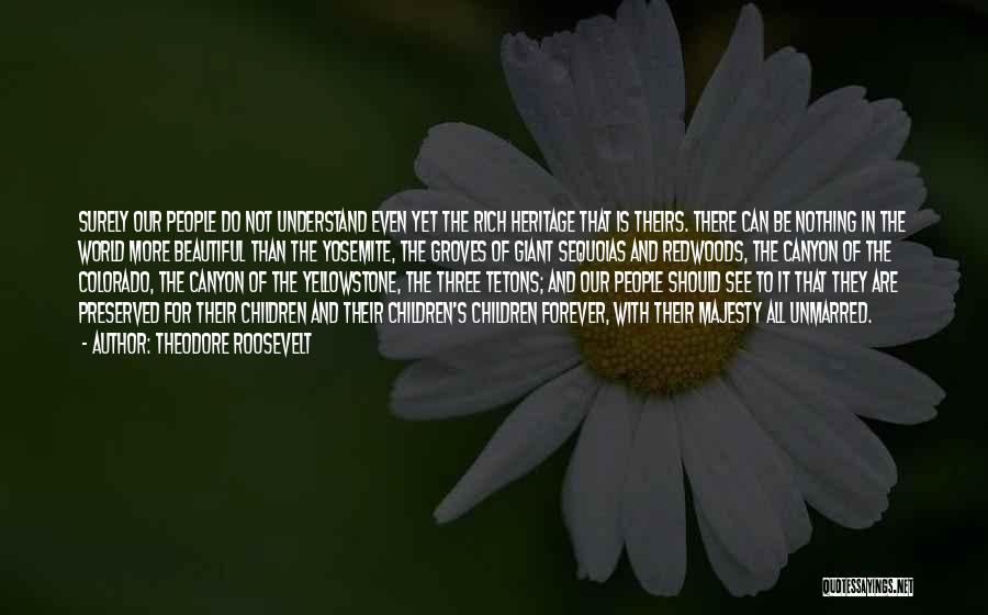 Theodore Roosevelt Quotes: Surely Our People Do Not Understand Even Yet The Rich Heritage That Is Theirs. There Can Be Nothing In The