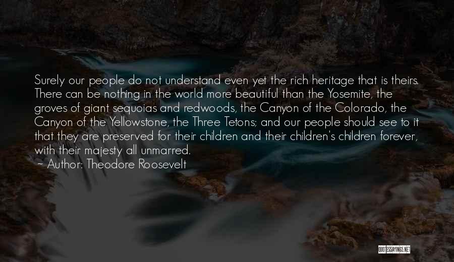 Theodore Roosevelt Quotes: Surely Our People Do Not Understand Even Yet The Rich Heritage That Is Theirs. There Can Be Nothing In The