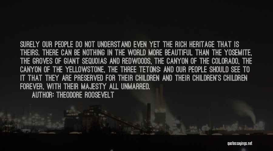 Theodore Roosevelt Quotes: Surely Our People Do Not Understand Even Yet The Rich Heritage That Is Theirs. There Can Be Nothing In The