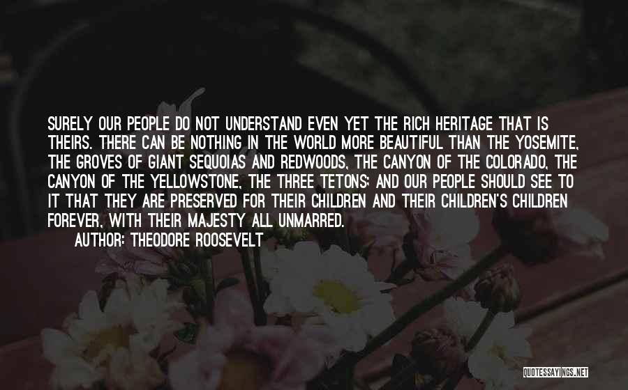 Theodore Roosevelt Quotes: Surely Our People Do Not Understand Even Yet The Rich Heritage That Is Theirs. There Can Be Nothing In The