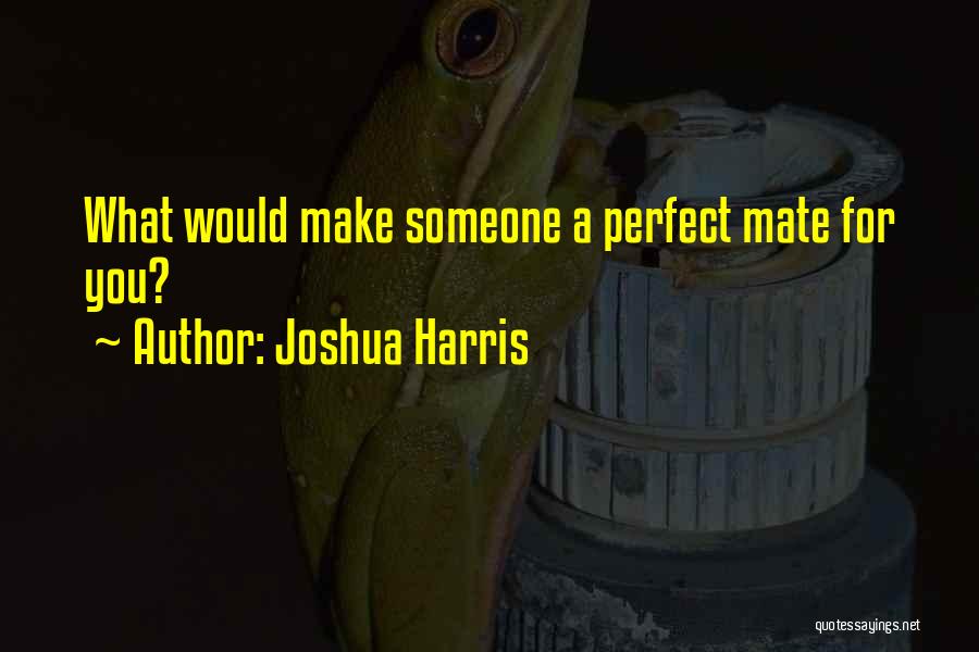 Joshua Harris Quotes: What Would Make Someone A Perfect Mate For You?