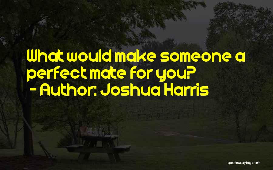 Joshua Harris Quotes: What Would Make Someone A Perfect Mate For You?