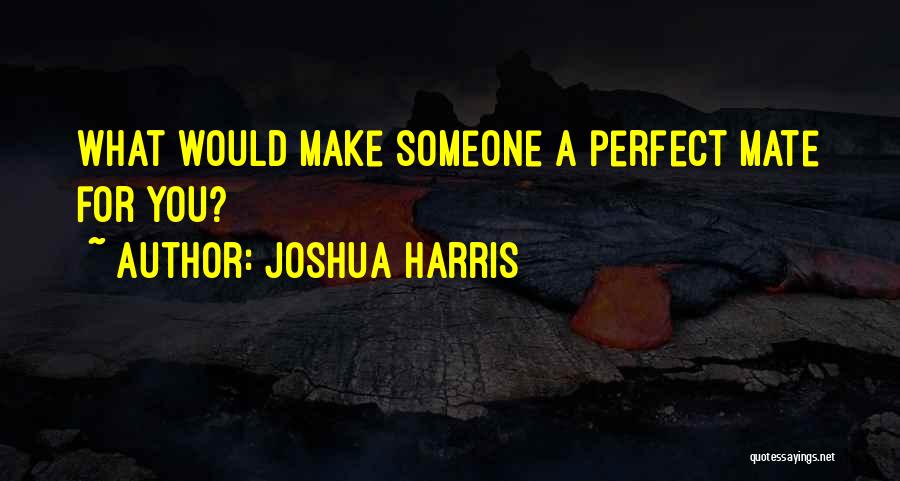 Joshua Harris Quotes: What Would Make Someone A Perfect Mate For You?