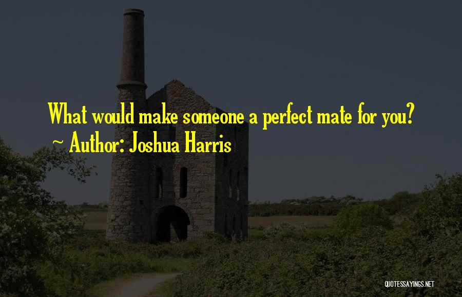 Joshua Harris Quotes: What Would Make Someone A Perfect Mate For You?