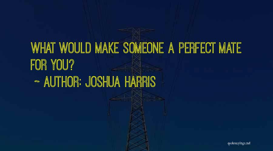 Joshua Harris Quotes: What Would Make Someone A Perfect Mate For You?