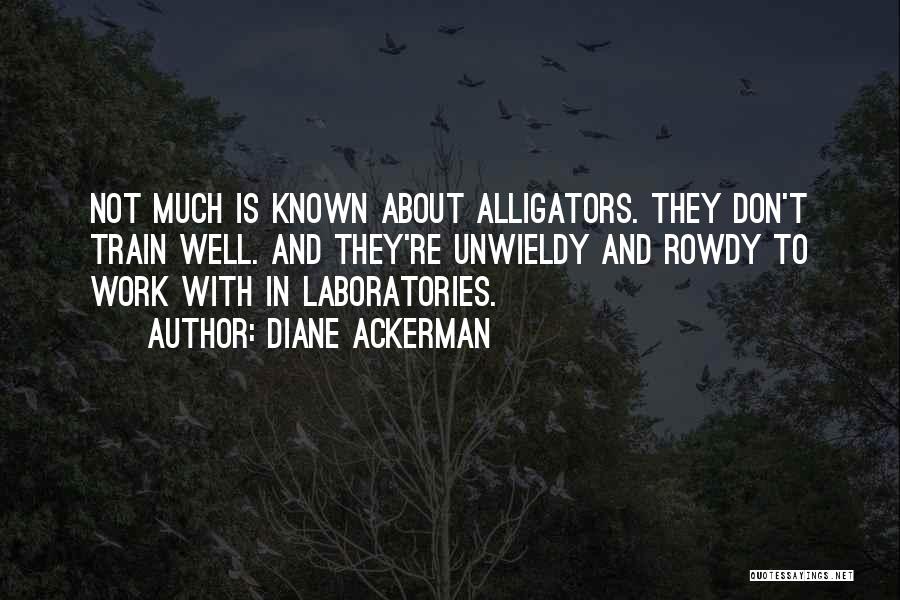 Diane Ackerman Quotes: Not Much Is Known About Alligators. They Don't Train Well. And They're Unwieldy And Rowdy To Work With In Laboratories.