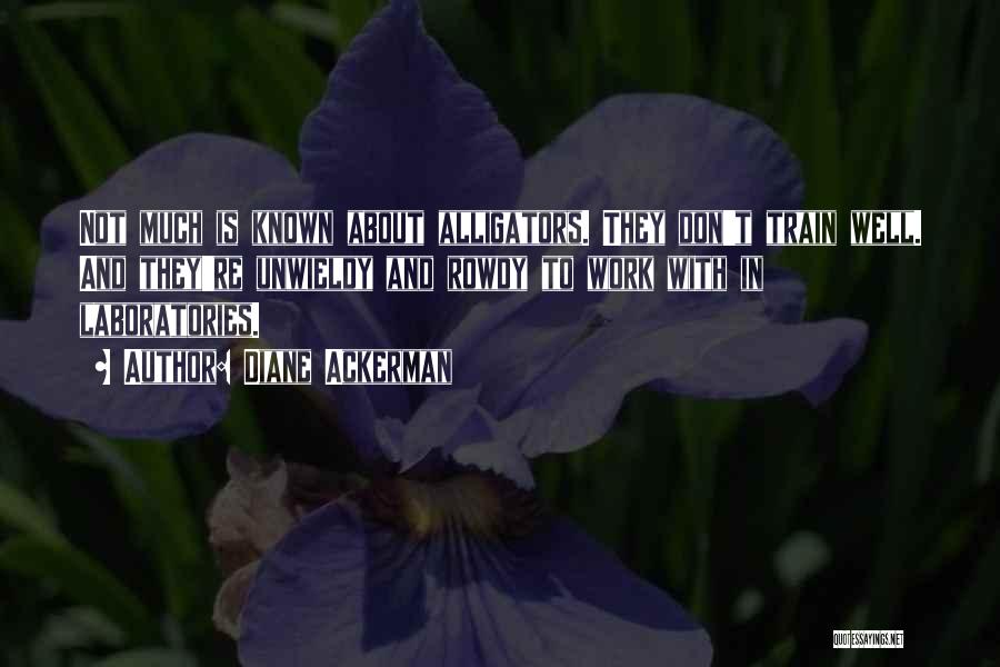 Diane Ackerman Quotes: Not Much Is Known About Alligators. They Don't Train Well. And They're Unwieldy And Rowdy To Work With In Laboratories.
