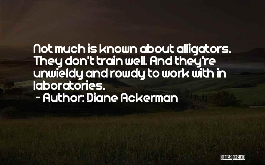 Diane Ackerman Quotes: Not Much Is Known About Alligators. They Don't Train Well. And They're Unwieldy And Rowdy To Work With In Laboratories.