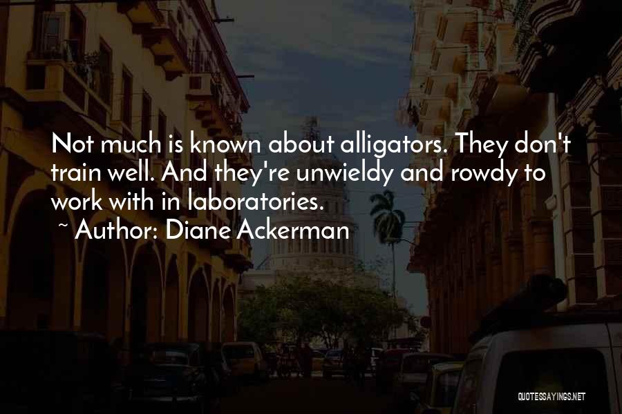 Diane Ackerman Quotes: Not Much Is Known About Alligators. They Don't Train Well. And They're Unwieldy And Rowdy To Work With In Laboratories.