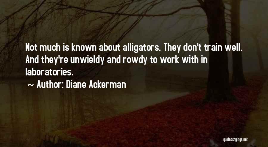 Diane Ackerman Quotes: Not Much Is Known About Alligators. They Don't Train Well. And They're Unwieldy And Rowdy To Work With In Laboratories.